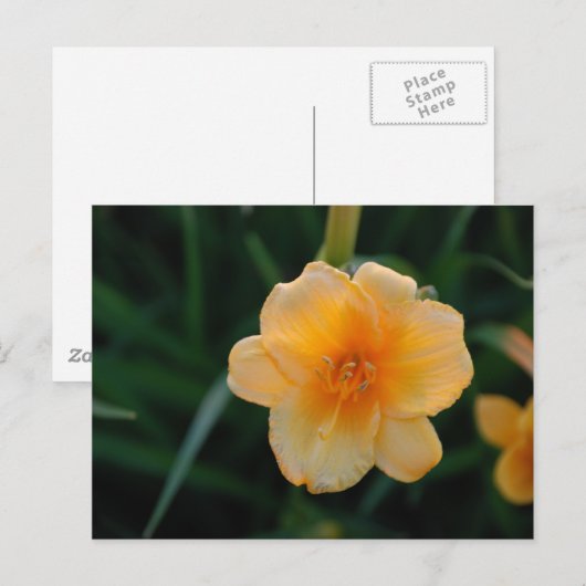 Oranje ventilator briefkaart (Voorkant / Achterkant)