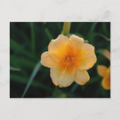 Oranje ventilator briefkaart (Voorkant)