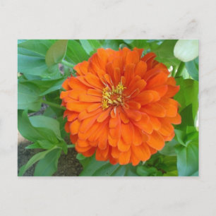 Oranje ventilator briefkaart