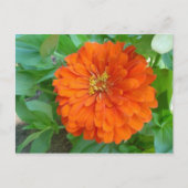 Oranje ventilator briefkaart (Voorkant)