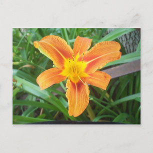 Oranje ventilator briefkaart