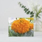 Oranje ventilator briefkaart (Staand voorkant)