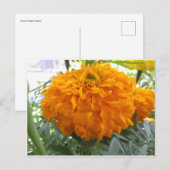 Oranje ventilator briefkaart (Voorkant / Achterkant)