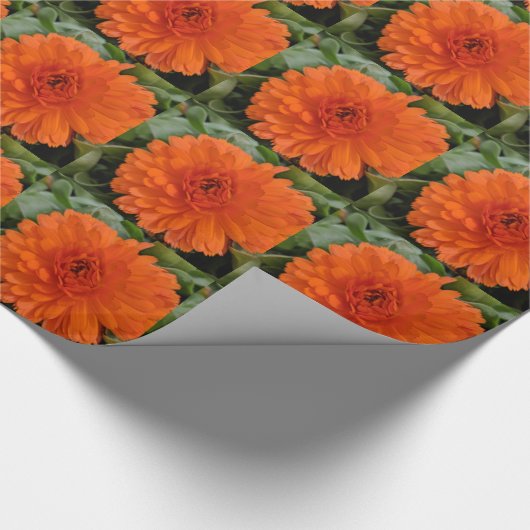 Oranje ventilator cadeaupapier (Hoek)