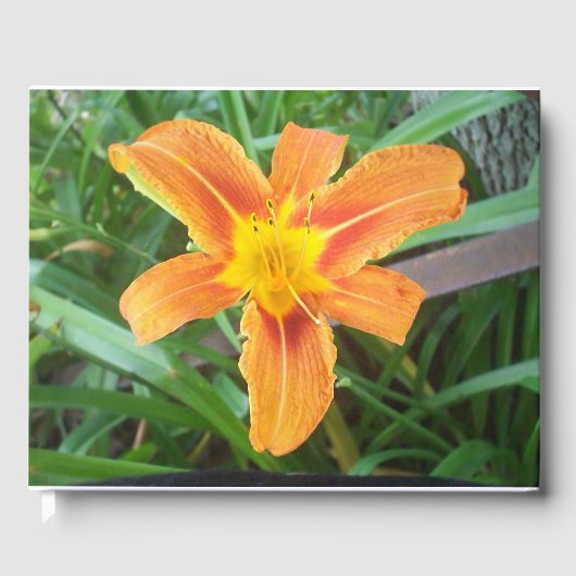 Oranje ventilator gastenboek (Voorkant)