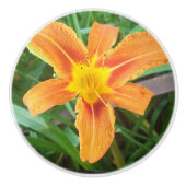 Oranje ventilator keramische knop (Voorkant)