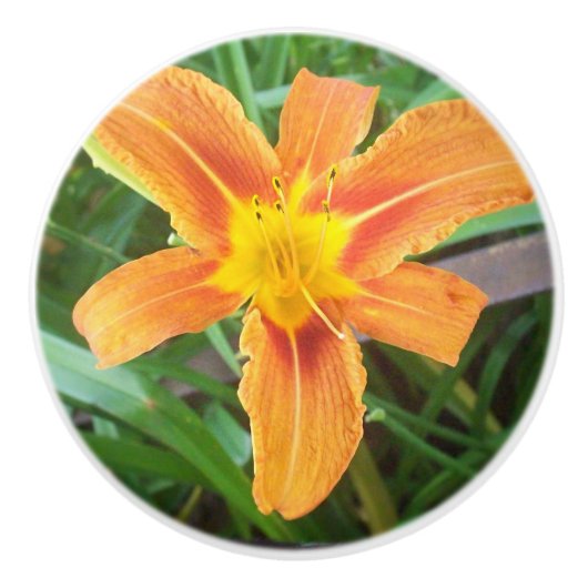 Oranje ventilator keramische knop (Voorkant)