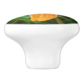 Oranje ventilator keramische knop (Zijkant)