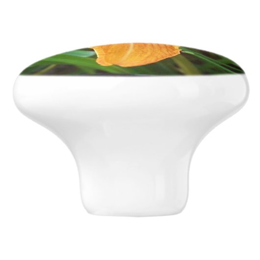 Oranje ventilator keramische knop (Zijkant)