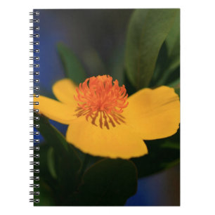 Oranje ventilator notitieboek