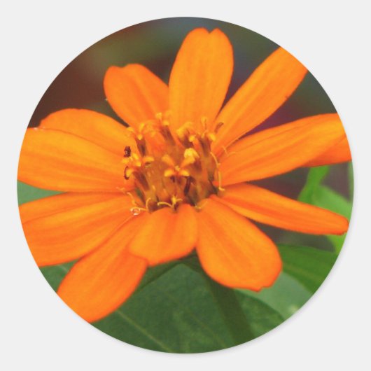 Oranje ventilator ronde sticker (Voorkant)