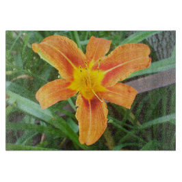 Oranje ventilator snijplank