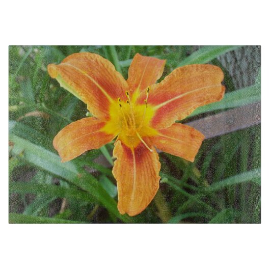 Oranje ventilator snijplank (Voorkant)