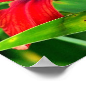 Oranje ventilator tijdens de dag dicht poster (Hoek)