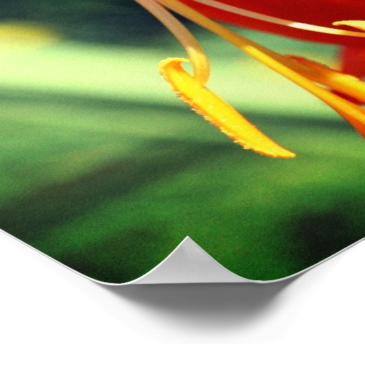 Oranje ventilator tijdens de dag dicht poster (Hoek)