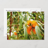 Oranje ventilatorBriefkaart Briefkaart (Voorkant / Achterkant)