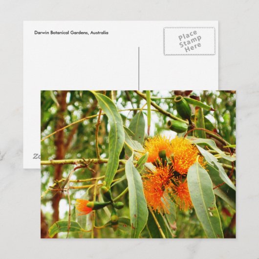 Oranje ventilatorBriefkaart Briefkaart (Voorkant / Achterkant)