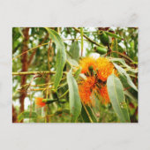 Oranje ventilatorBriefkaart Briefkaart (Voorkant)