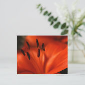 Oranje ventilatorBriefkaart Briefkaart (Staand voorkant)