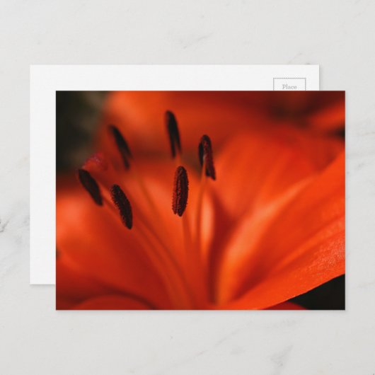 Oranje ventilatorBriefkaart Briefkaart (Voorkant / Achterkant)