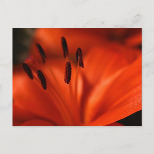 Oranje ventilatorBriefkaart Briefkaart (Voorkant)