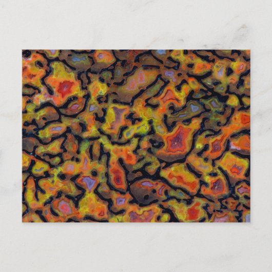 Oranje versteende dinosaurusbot briefkaart (Voorkant)