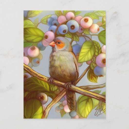 Oranje vinnig met mousserende wassers met blauwe b briefkaart (Voorkant)