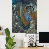 Oranje vis poster (Thuiskantoor)