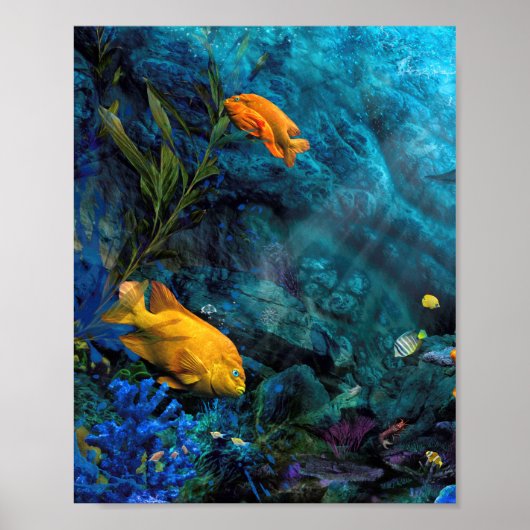 ORANJE VISBLAUWE WERELD POSTER (Voorkant)