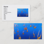 Oranje Visitekaartje (Voorkant / Achterkant)