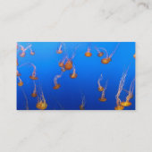 Oranje Visitekaartje (Achterkant)