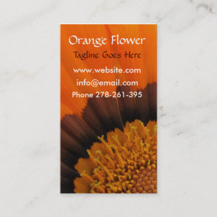 Oranje Visitekaartje Gazania Flower