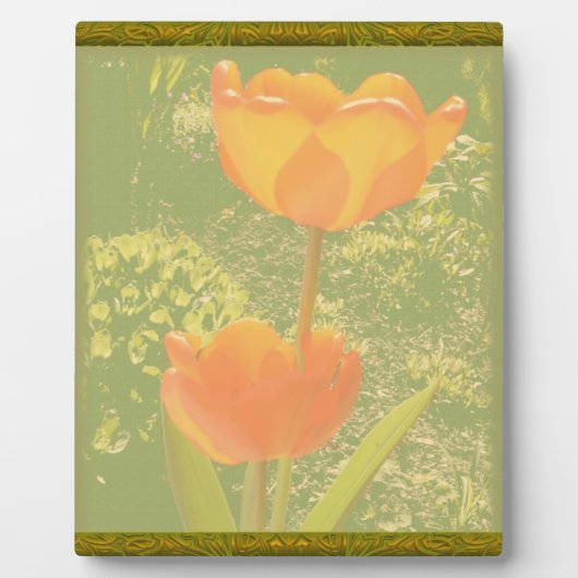 Oranje vlakte fotoplaat (Voorkant)