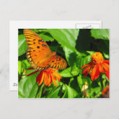 Oranje vlinder bovenaan briefkaart (Voorkant / Achterkant)