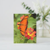 oranje vlinder briefkaart (Staand voorkant)