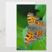Oranje vlinder briefpapier (Voorkant / Achterkant)