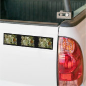 Oranje vlinder en bijen bumpersticker (Op Truck)