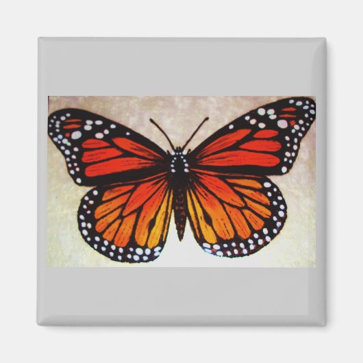 oranje vlinder magneet (Voorkant)