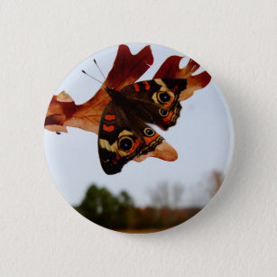 oranje vlinder met blauwe vlekken ronde button 5,7 cm