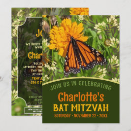 Oranje Vlinder Natuur Energy Bat Mitzvah