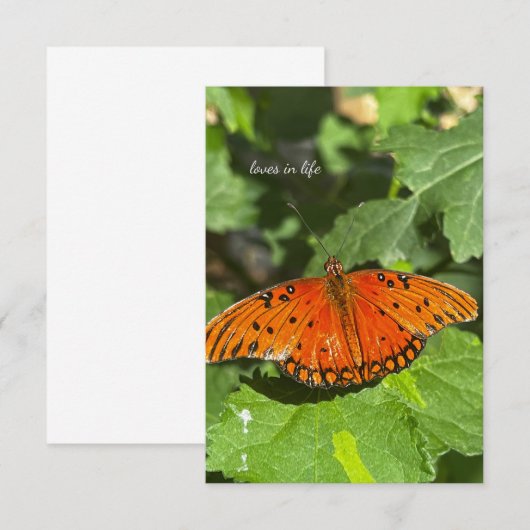 Oranje vlinder notitiekaartje (Voorkant / Achterkant)