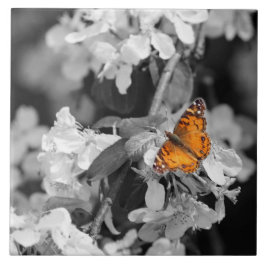 Oranje vlinder op appelbloesem keramische Tegel Tegeltje