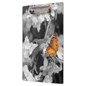 Oranje vlinder op appelbloesem klembord (Links)