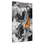 Oranje vlinder op appelbloesem klembord (Rechts)