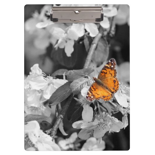 Oranje vlinder op appelbloesem klembord (Voorkant)