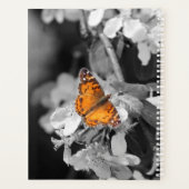 Oranje vlinder op Apple Blossom Daily Planner (Achterkant)