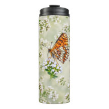 Oranje Vlinder op Delicate Witte Bloemen