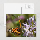 Oranje vlinder op Wilde Hyacinth Apparel & Gifts Briefkaart (Voorkant / Achterkant)