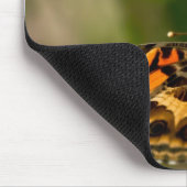 Oranje vlinder op Wilde Hyacinth Apparel & Gifts Muismat (Hoek)