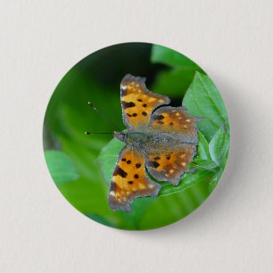 Oranje vlinder ronde button 5,7 cm